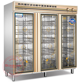 YTP1500A-3 邦祥多功能中温消毒保洁柜 紫外线臭氧消毒 带热风循环